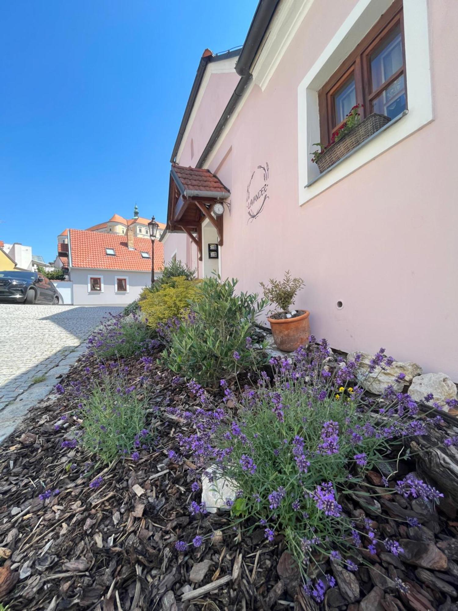 Apartmany Lavander มิคูลอฟ ภายนอก รูปภาพ